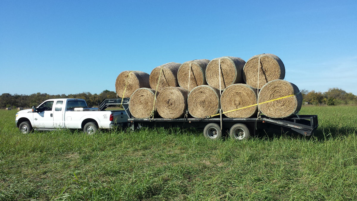 20161031_102404 hauling hay from field sm