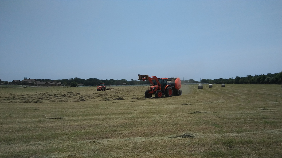 20170623_123800 Rake and bale sm